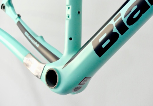 Bianchi METHANOL